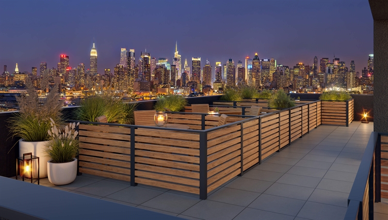 Roof Deck with stunning views of the city skyline