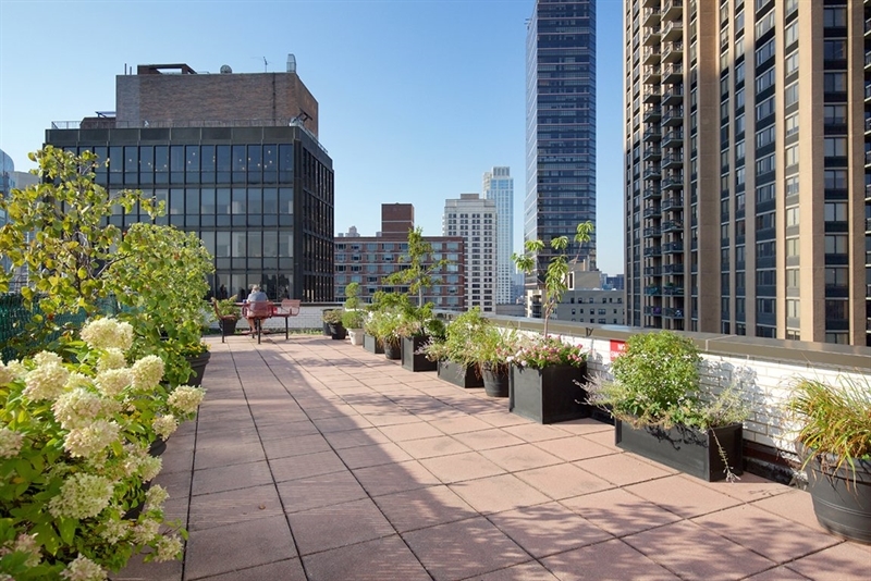 Landscaped Rooftop